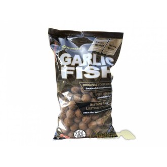 STARBAITS Boilies CONCEPT Garlic Fish 1kg