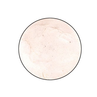 SPRO Těsto na pstruhy Trout Master Garlic Paste 120 g