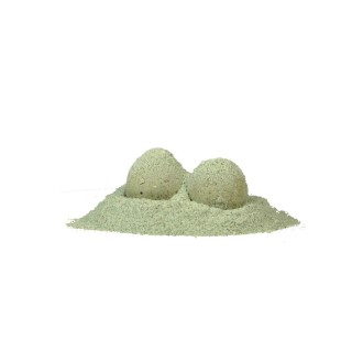 CARP ZOOM Obalovací dip Amur Powder Dip 100 g