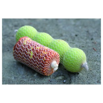 STARBAITS PVA System Boilies Komplet Punčocha 6m 22mm s tubusem