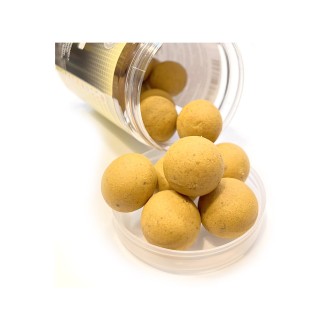 STARBAITS Probiotic Hard Boilies 200 g Ginger Squid