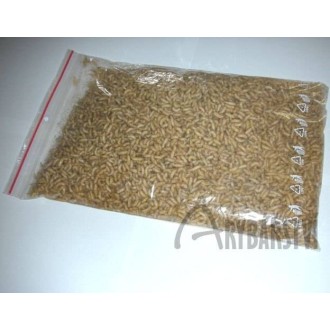 Masní červi bílí 1 litr