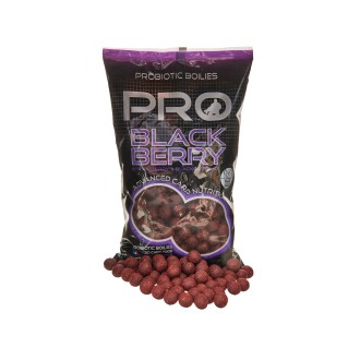 STARBAITS Boilies PRO Blackberry
