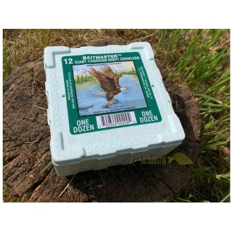 Kanadská Rousnice 12 ks