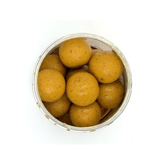 STARBAITS Boilies in Dip PRO Ginger Squid 150 g