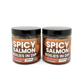 STARBAITS Boilies in Dip Concept Spicy Salmon 150 g