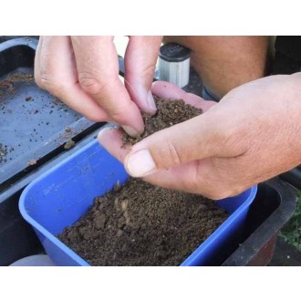 TOP MIX Těsto na háček Pole Paste 500 g